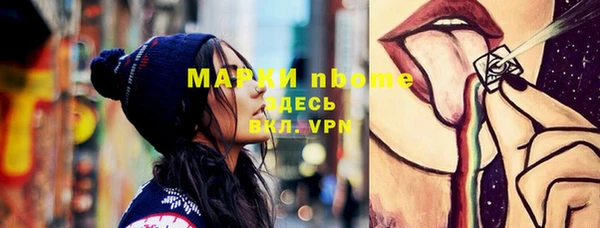 гашик Богородск