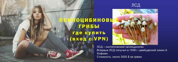 экстази Богородицк
