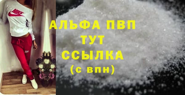 спиды Богданович