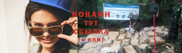 гашик Богородск