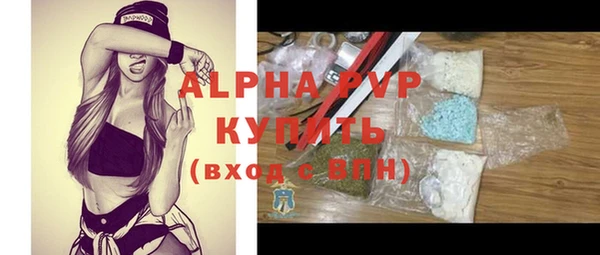 спиды Богданович