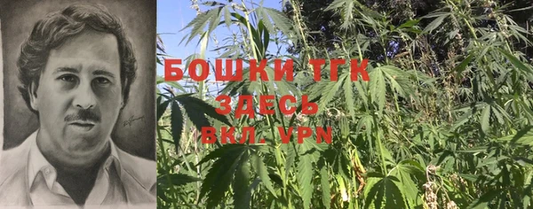экстази Богородицк