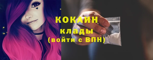 гашик Богородск