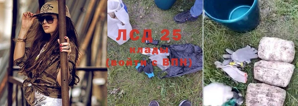 спиды Богданович