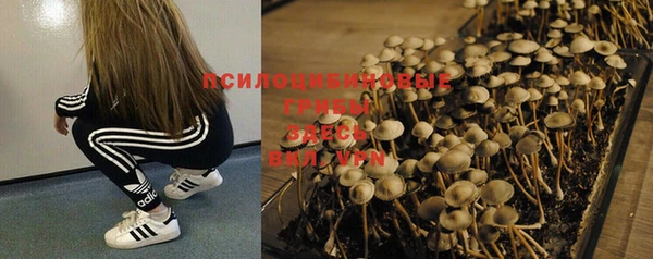 экстази Богородицк