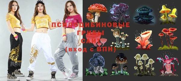 спиды Богданович