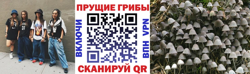 Купить  Белоярский  Псилоцибиновые грибы Magic Shrooms 